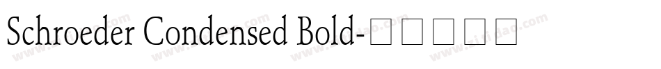 Schroeder Condensed Bold字体转换